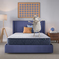 Serta Five Star Mattress Bed in a Box - 12