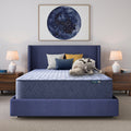 Serta Five Star Mattress Bed in a Box - 14