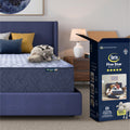Serta Five Star Mattress Bed in a Box - 14