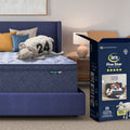 Serta Five Star Mattress Bed in a Box - 16