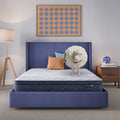 Serta Five Star Mattress Bed in a Box - 10